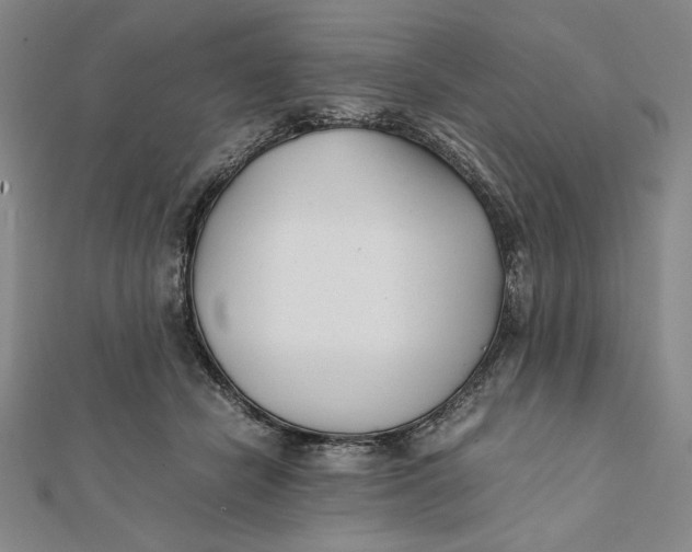 X0000112050462200908251002