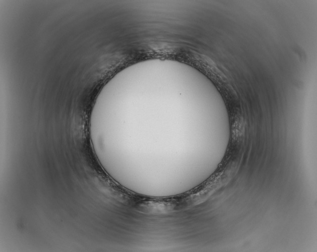 X0000112050464200908251002