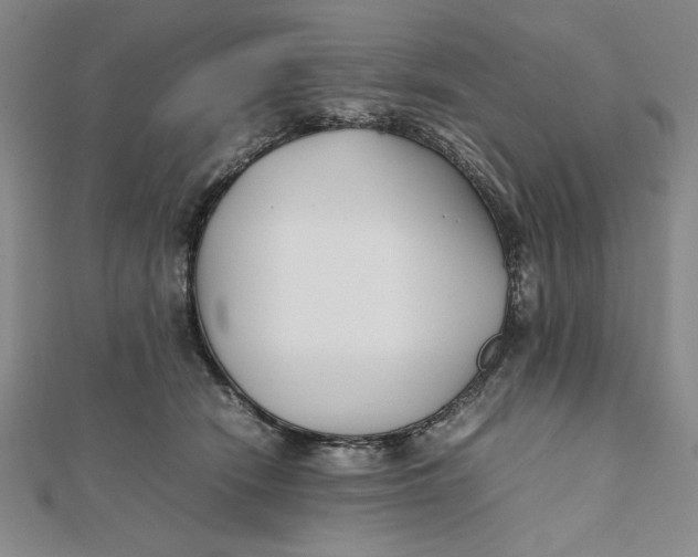 X0000112050466200908251002