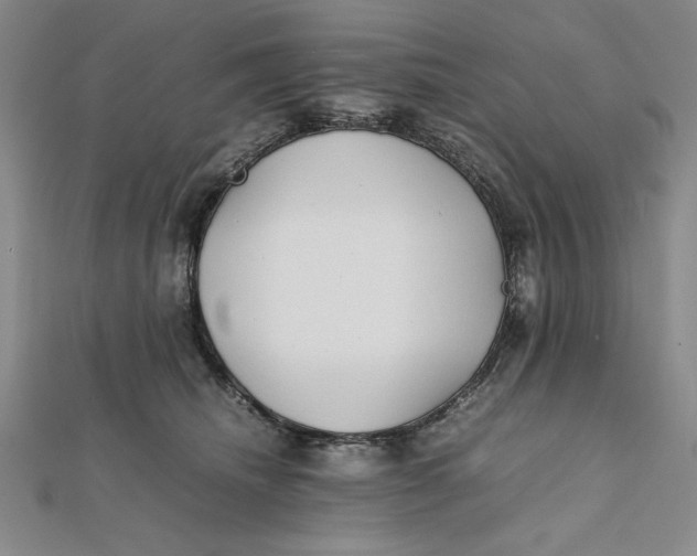 X0000112050468200908251003