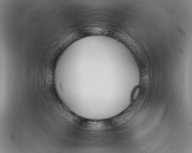 X0000112050469200908251003