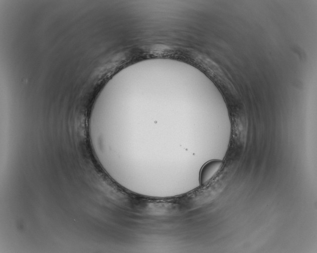 X0000112050470200908251003