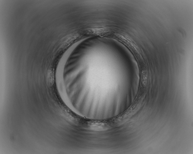 X0000112050471200908251003