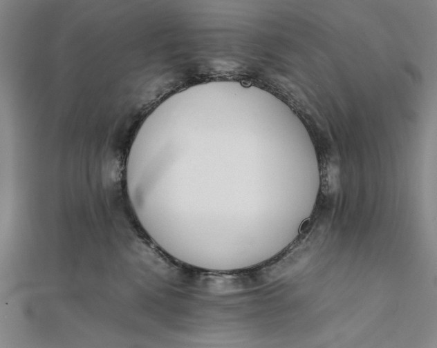 X0000112050472200908251003