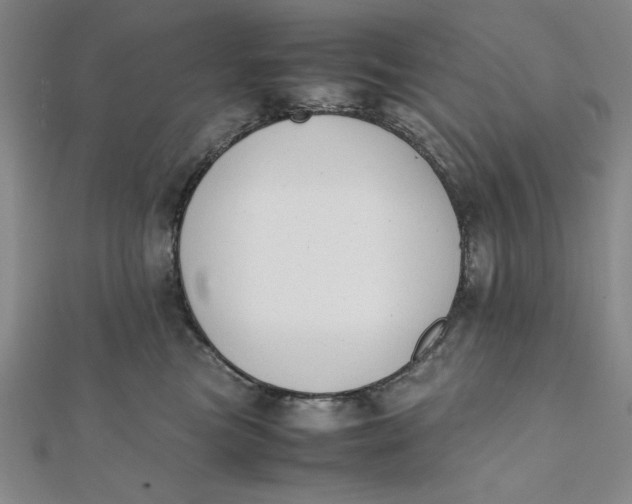 X0000112050473200908251003