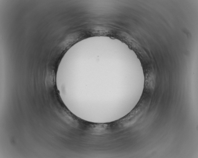 X0000112050474200908251003