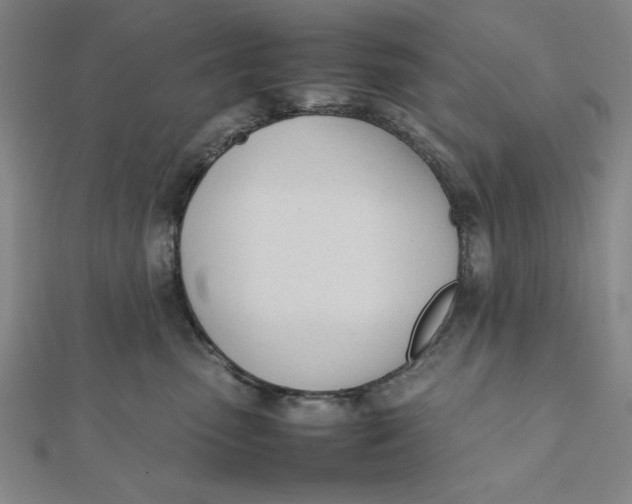 X0000112050475200908251003