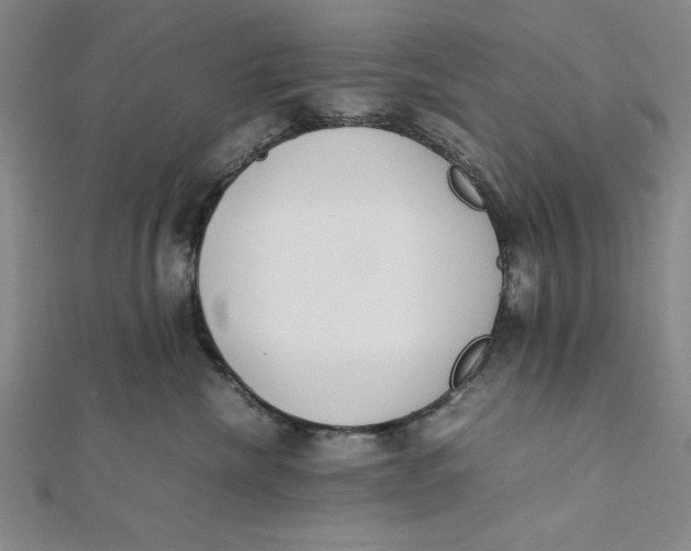 X0000112050476200908251003