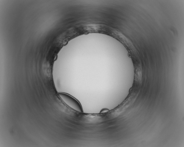 X0000112050477200908251003