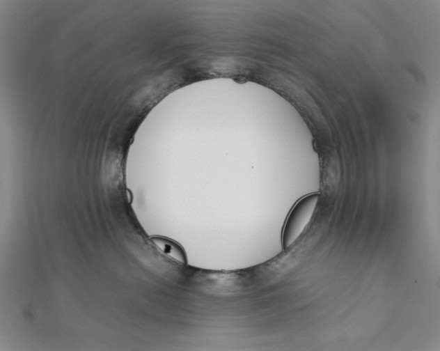 X0000112050478200908251003