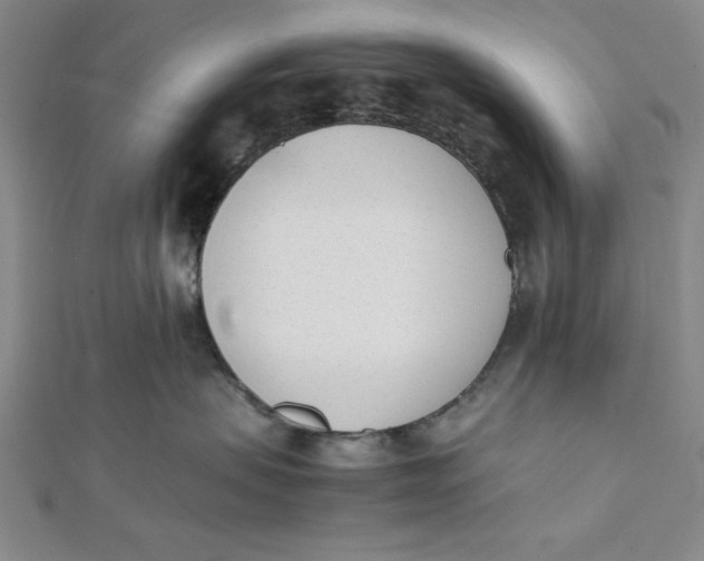 X0000112050479200908251003