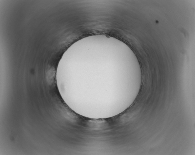 X0000112050480200908251003