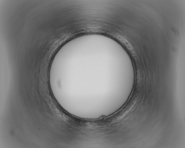 X0000112050481200908251002