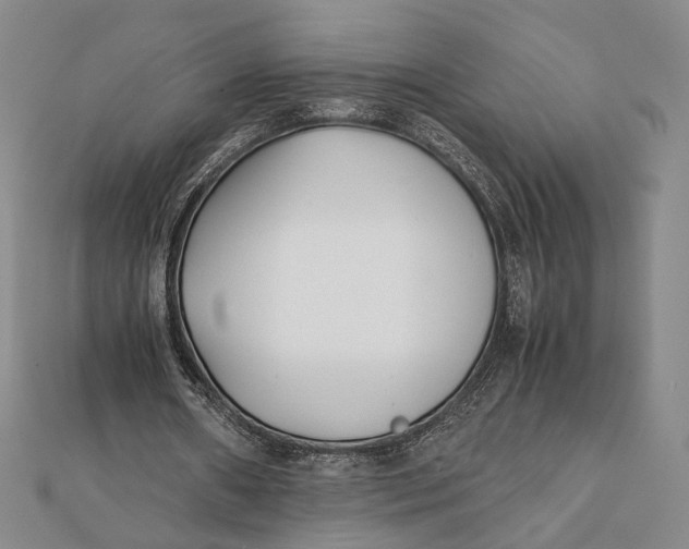 X0000112050482200908251002