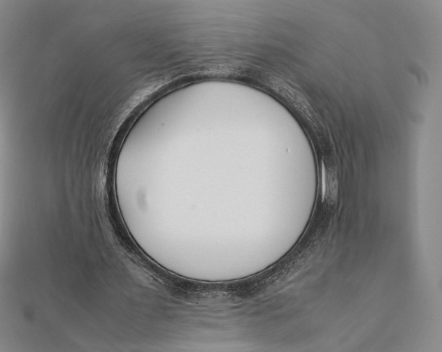 X0000112050483200908251002