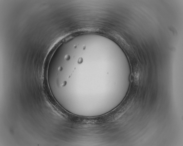 X0000112050484200908251002