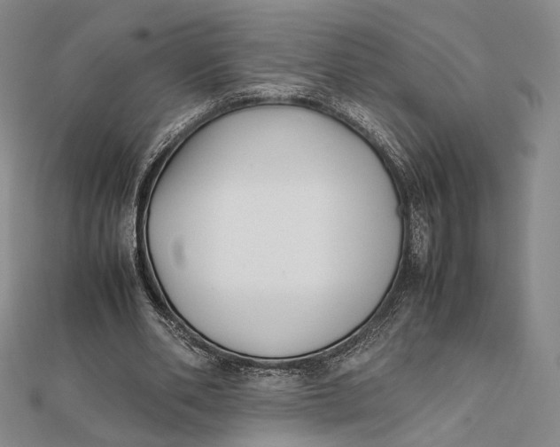 X0000112050486200908251002