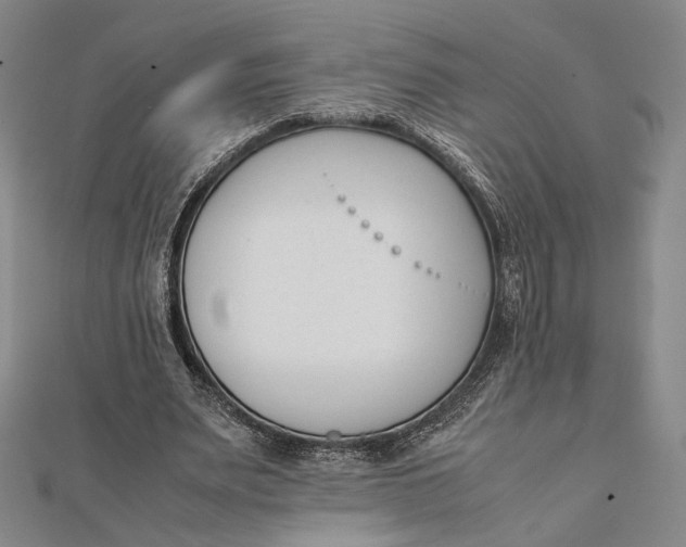 X0000112050487200908251002