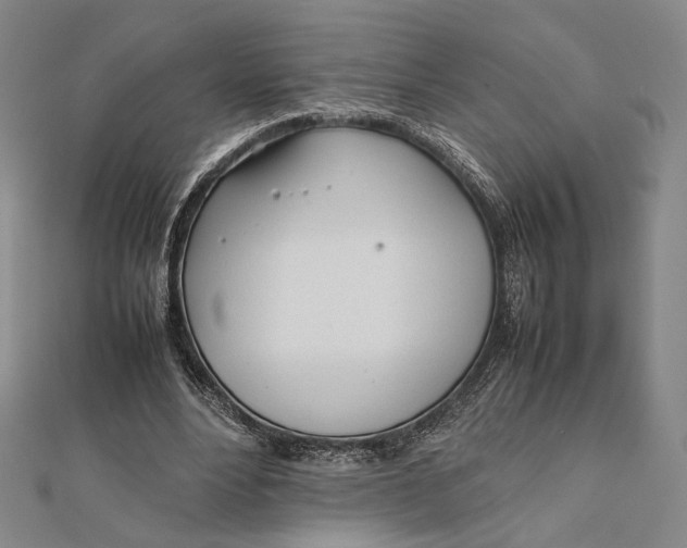 X0000112050488200908251002