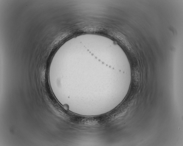 X0000112050491200908251002