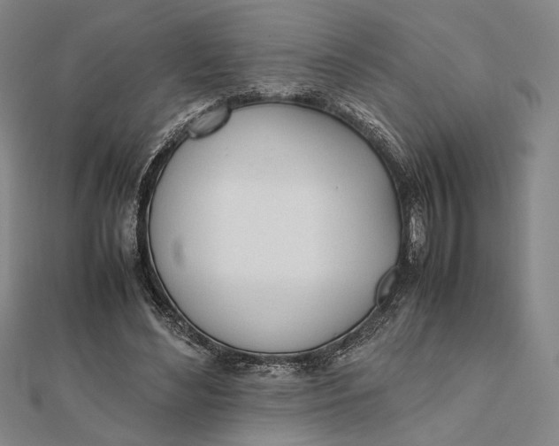 X0000112050492200908251002