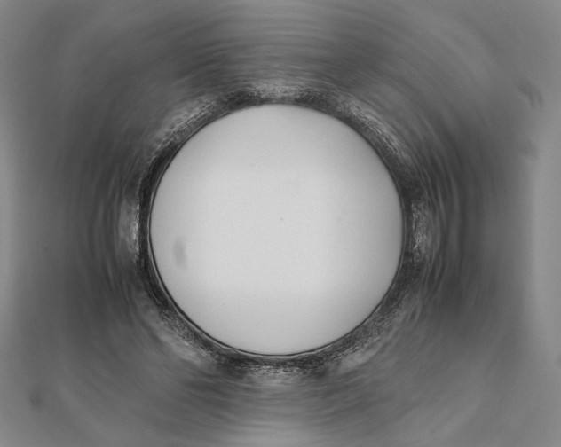 X0000112050494200908251002