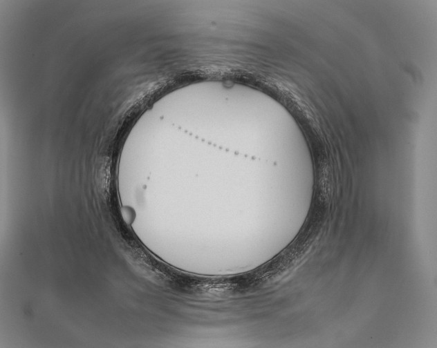 X0000112050495200908251002