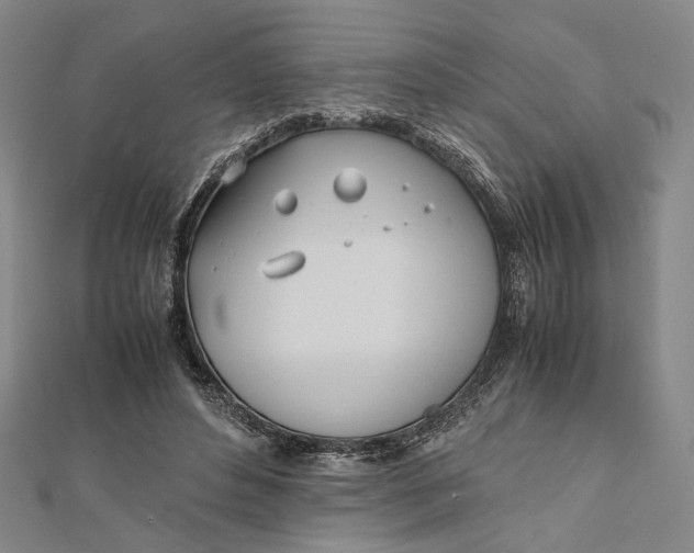 X0000112050496200908251002