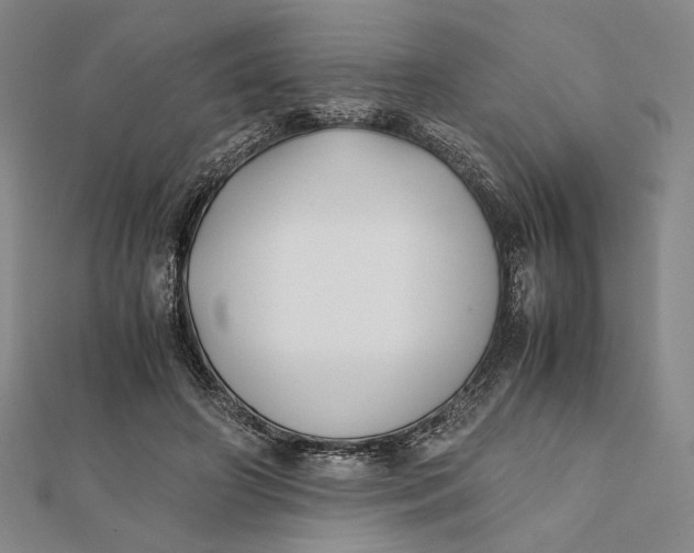 X0000112050498200908251002