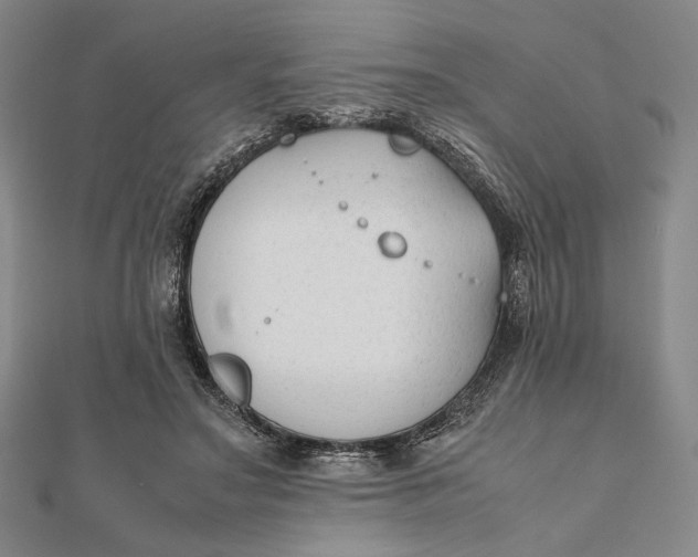 X0000112050499200908251002