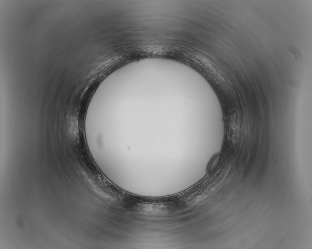 X0000112050500200908251002