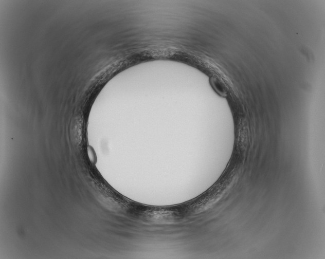 X0000112050501200908251002