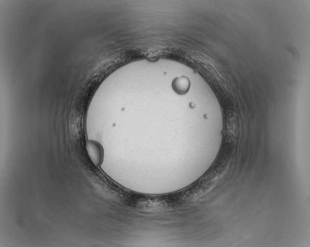 X0000112050503200908251002