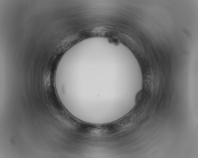 X0000112050504200908251002