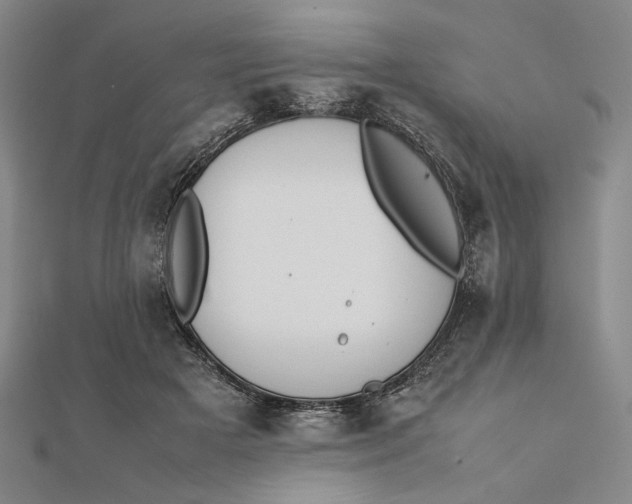 X0000112050505200908251002