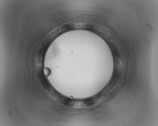 X0000112050507200908251002