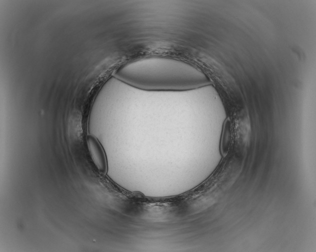 X0000112050508200908251002