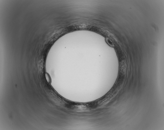 X0000112050509200908251002