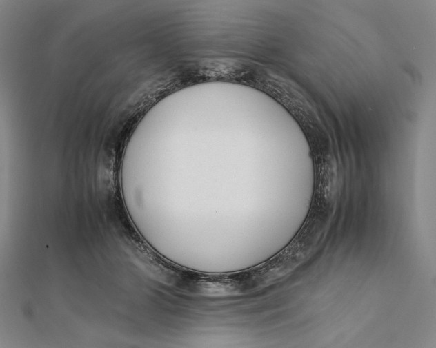 X0000112050510200908251002