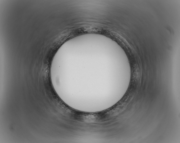 X0000112050513200908251002