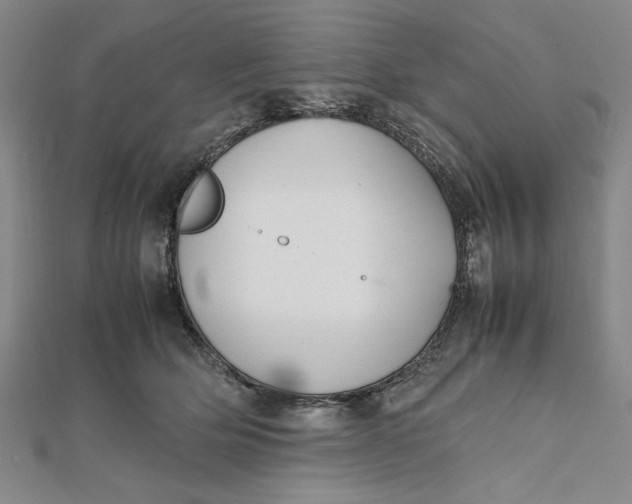 X0000112050514200908251002