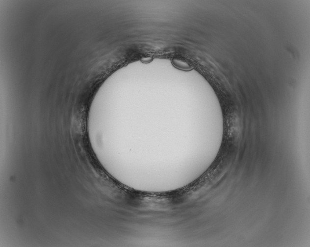 X0000112050515200908251002