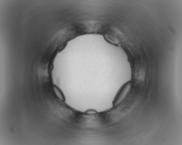 X0000112050516200908251002