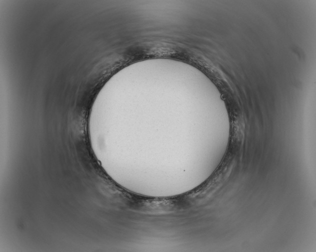 X0000112050517200908251002