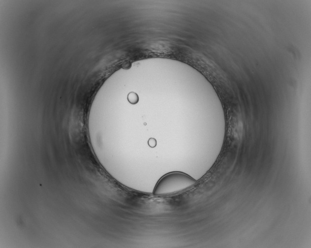 X0000112050518200908251002