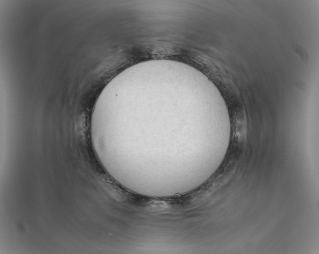 X0000112050519200908251002