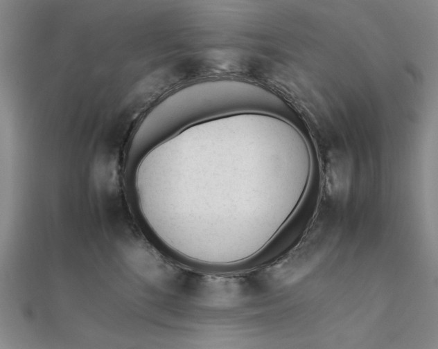 X0000112050520200908251002