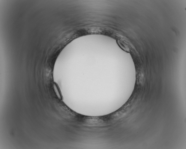 X0000112050521200908251002