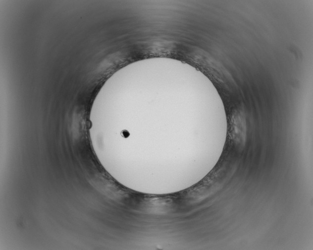 X0000112050522200908251002