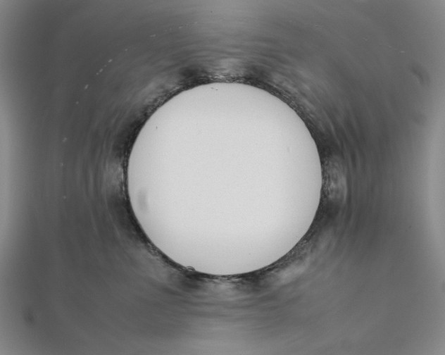 X0000112050523200908251002